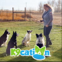 K9cation logo - Similar company to Vanguard Solar Services