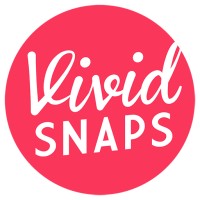 Vivid Snaps LLP logo - Similar company to Geekbytes.Co