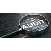 Prime Expert Group logo - Similar company to Black Stone Tax Consultancy