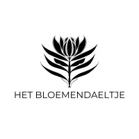 Lux Amersfoort logo - Similar company to 123Moos