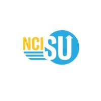 National College of Ireland Students’ Union logo - Similar company to Bsides Galway