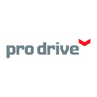 ProDrive Piling logo - Similar company to Wl Piling