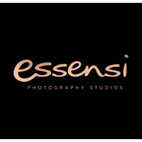 Essensi Studios logo - Similar company to Carters Building Consultancy