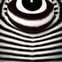 DevZoo logo - Similar company to Devzo Technologies