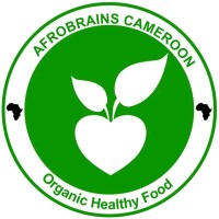 AfroBrains Cameroon logo - Similar company to Community Centre For Integrated Development