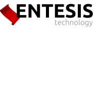Entesis Technology logo - Similar company to Codisin