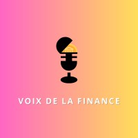 Voix de la Finance logo - Similar company to Tech Dawn Partners