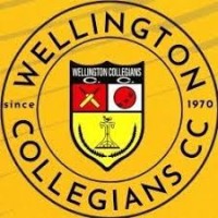 Wellington Collegians Cricket Club logo - Similar company to Slatter Cricket & Play