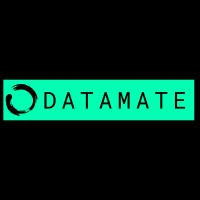 DataMate logo - Similar company to Visual-3Angle