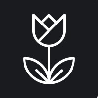 DutchTechSF logo - Similar company to Dutchtechx