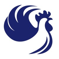 Assigall S.r.l. logo - Similar company to Protechto Safety Engineering