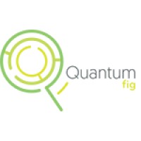 Quantum-fig logo - Similar company to Express Automation