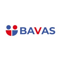 Bavas Digital Marketing logo - Similar company to Antbrush Communication