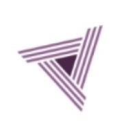 VonGeyer Consulting logo - Similar company to C19 Coalition