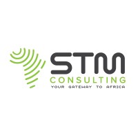 Stm Consulting logo - Similar company to Fugzo Digital