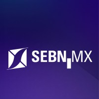 SEBN MX logo - Similar company to Grupo Ingenia Ts Especialistas