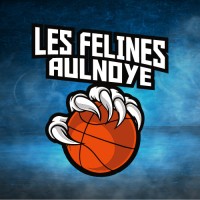 AS AULNOYE BASKET logo - Similar company to Burnertools
