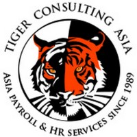 Tiger-Consulting Asia logo - Similar company to Chronos Systems
