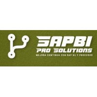 SAPB1Pro Solutions logo - Similar company to One Bit Solution Limited