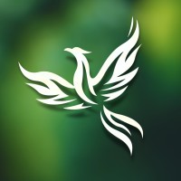 Mirad Studios logo - Similar company to Mm Production