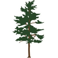 White Pine Investment Co. logo - Similar company to Advisors Insurance Group