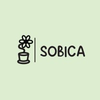 Sobica logo - Similar company to Deephy Technologies