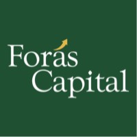 Forás Capital logo - Similar company to Digital Doors Limited