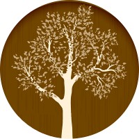 Linh Agarwood logo - Similar company to Aynfaa