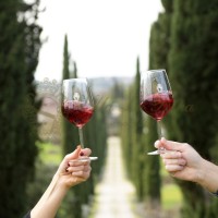 Villa la Ripa logo - Similar company to Villa La Ripa