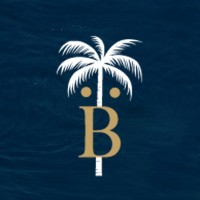 Braü Design Agency®