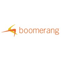 Boomerang logo - Similar company to Purgistics