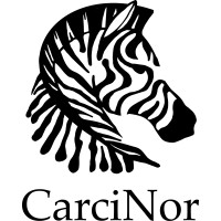 NET-kreftforeningen CarciNor logo - Similar company to Recreate