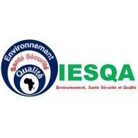 IESQA CONSULT logo - Similar company to Cfad-Ci