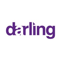 Darling - Linjeforeningen For Design