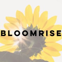 BloomRise logo - Similar company to Mk Software Solutions