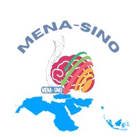 Middle East North Africa stroke and interventional neurotherapies organization ( MENA-SINO ) logo - Similar company to African Renaissance Organization