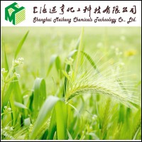 Shanghai Maiheng Chemicals Technology Co.,Ltd logo - Similar company to Dsl Chemicals