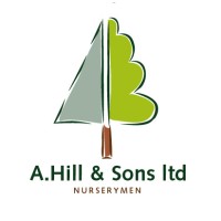 A Hill and Sons logo - Similar company to China Wok Restaurant