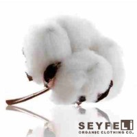 Seyfeli Textile