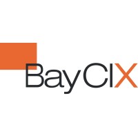 BayCIX GmbH logo - Similar company to Sysob It-Distribution
