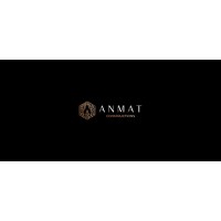 Anmat comstruction logo - Similar company to Torelli Properties Group With Compass