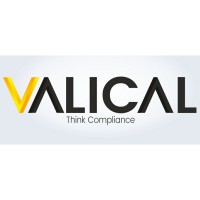 Valical Solutions logo - Similar company to Lifeplan Technolutions Llp