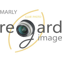 Regard Image Marly logo - Similar company to Tech3D