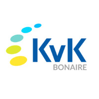 Bonaire Chamber of Commerce logo - Similar company to Talent Ontwikkel Programma Bonaire