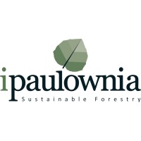Paulownia Ltd - iPaulownia, investors in paulownia logo - Similar company to Scalable 365
