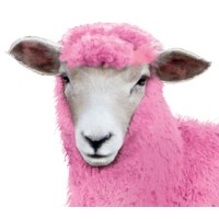 the pink sheep logo - Similar company to Gebr. Kuster Ag
