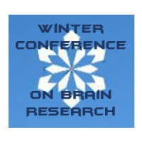 Winter Conference on Brain Research logo - Similar company to Brain Inspired