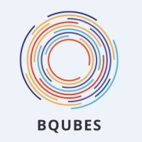 BQubes Digital Tech Solution logo - Similar company to Transform Total