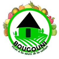 Bougouni logo - Similar company to Somilo