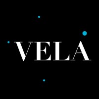 VELA Wealth logo - Similar company to Acquatio | Wealth Management M&A